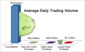 Daily Trading Volume Unveiled