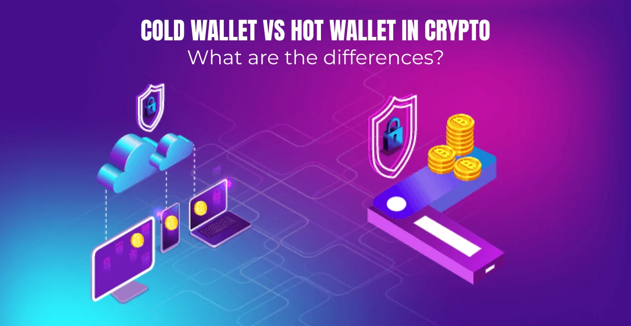 Hot vs. Cold Crypto Wallets