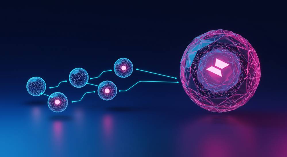 Full nodes vs lightweight nodes